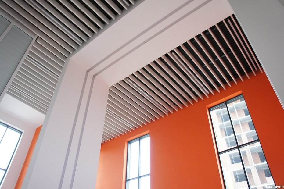 p-detail